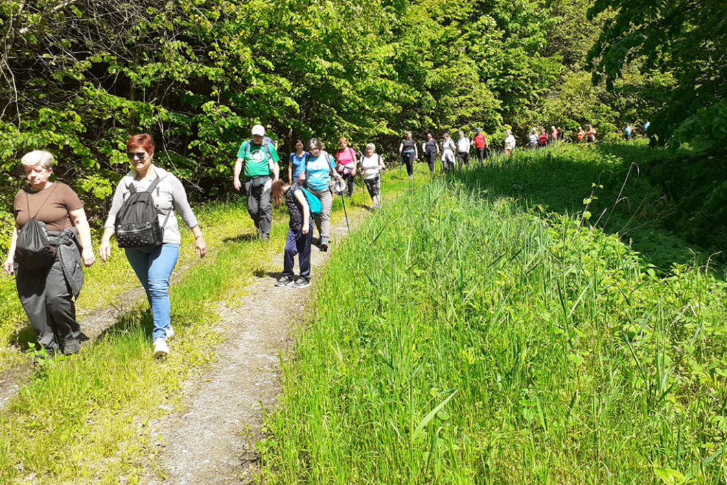 Novigradski i susedgradski planinari