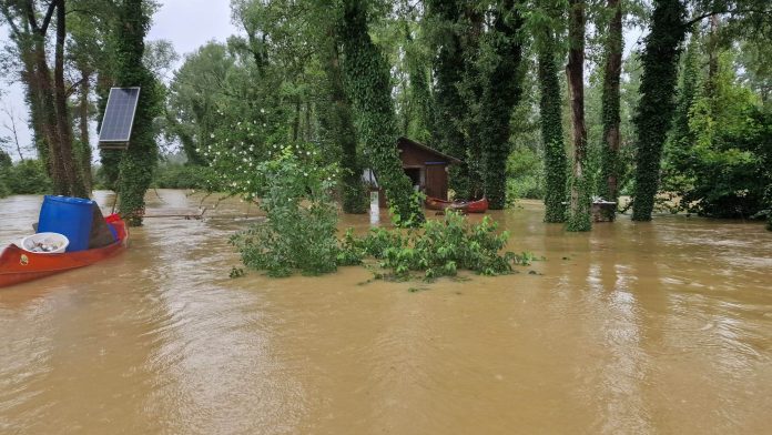 Polava na Halaš Čardi