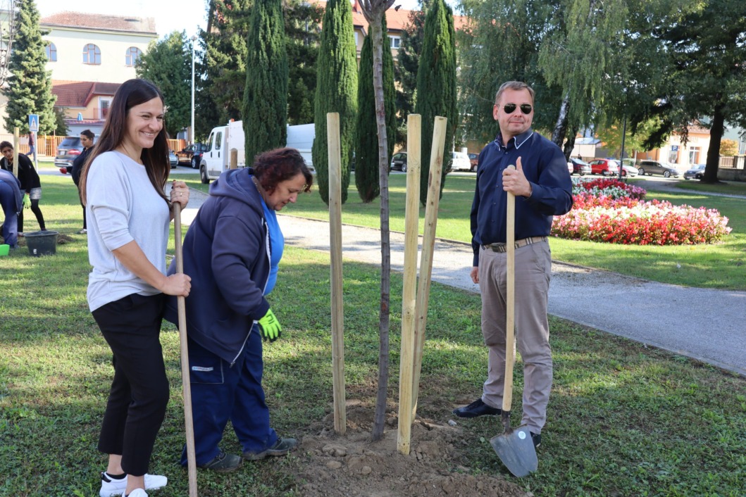 Sadnja stabala u koprivničkom parku Taraščice