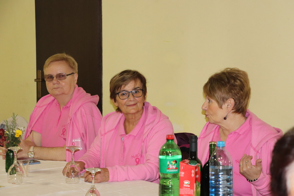 Edukativno druženje žena s bolestima raka dojke u Koprivnici