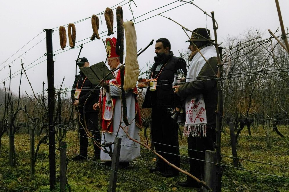 Vincekovo u organizaciji Udruge vinogradara i vinara Škaf Križ