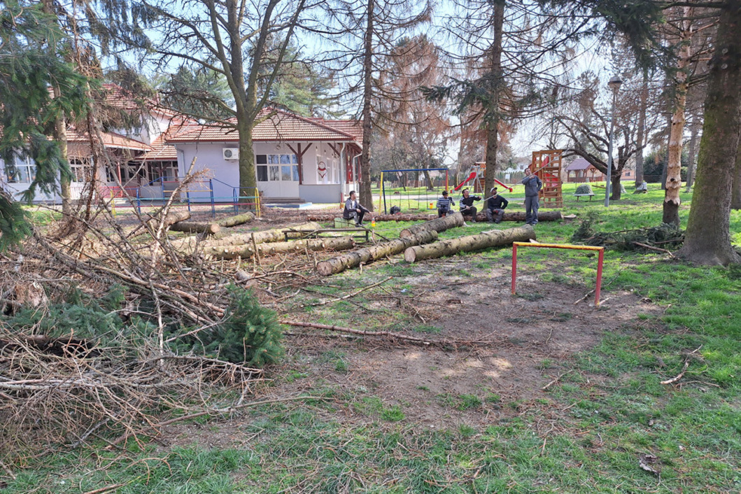 Park u Novigradu Podravskom