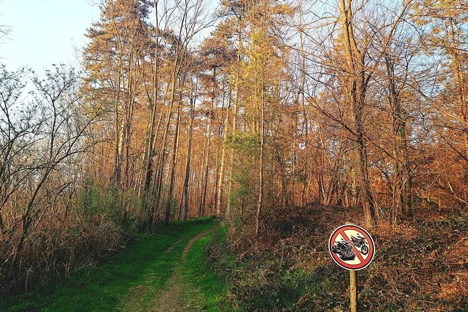 Park šuma Borik