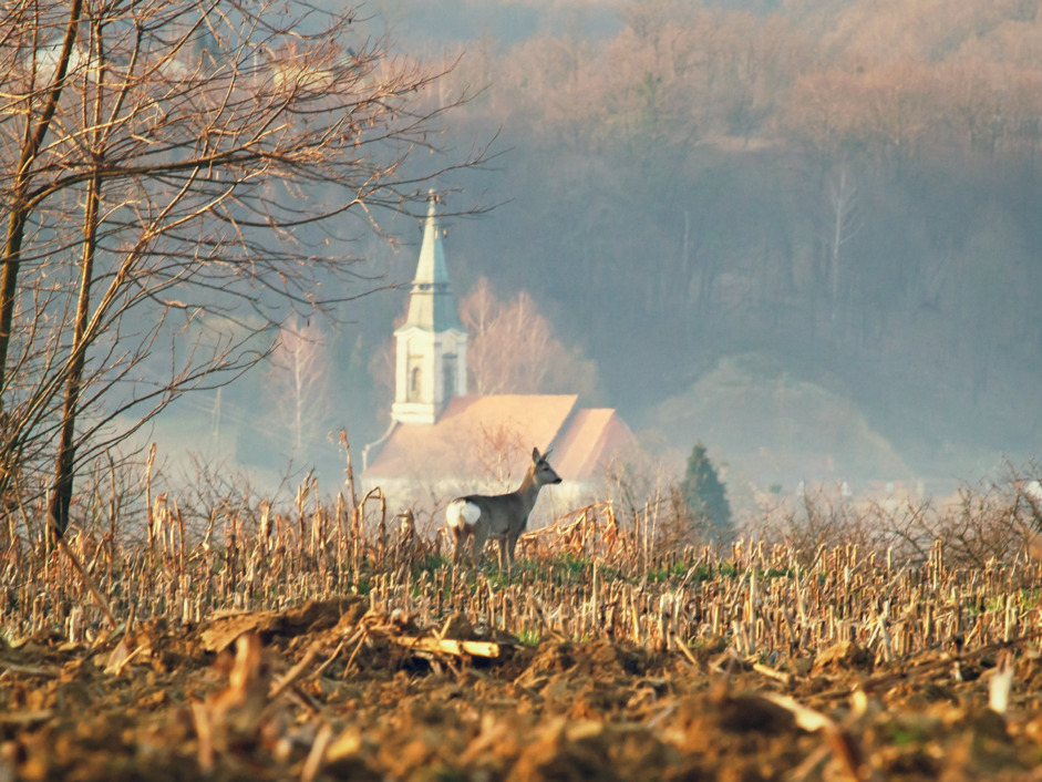 Jedna od fotografija s izložbe Darka Kekelja