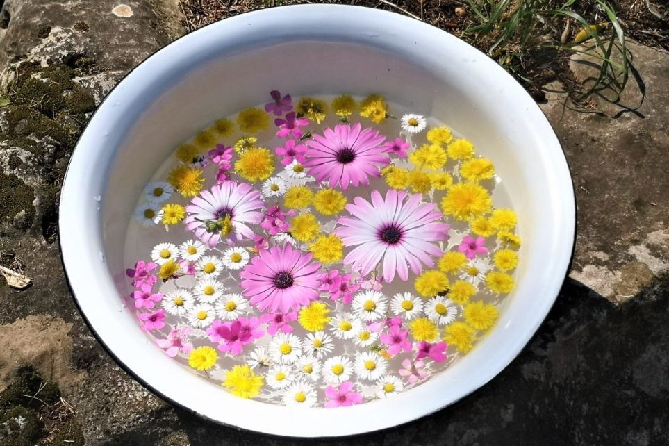 Umivanje u cvijeću/Cvjetnica