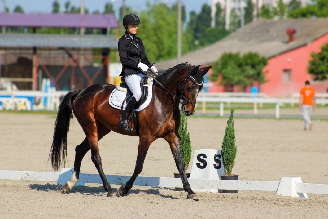 Elizabeta Božić i Calypsa B