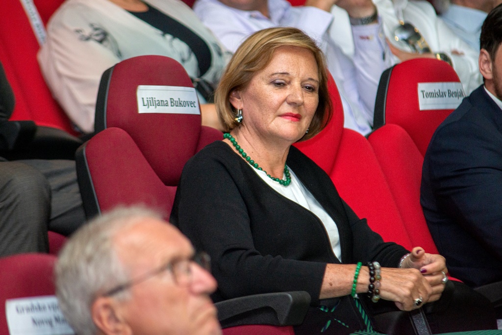 Svečana sjednica Grada Novog Marofa