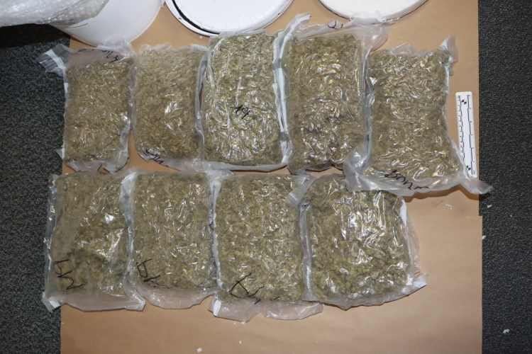 Oduzeta marihuana