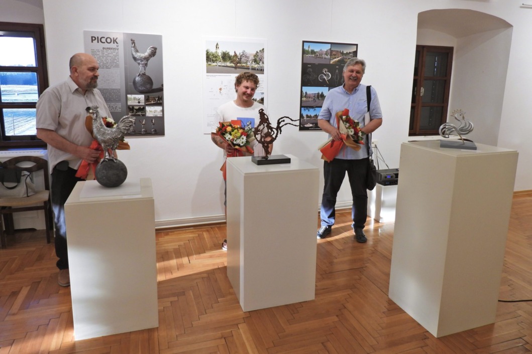 Izložba picoka