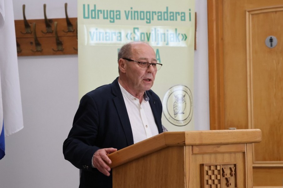 Danimir Kolman