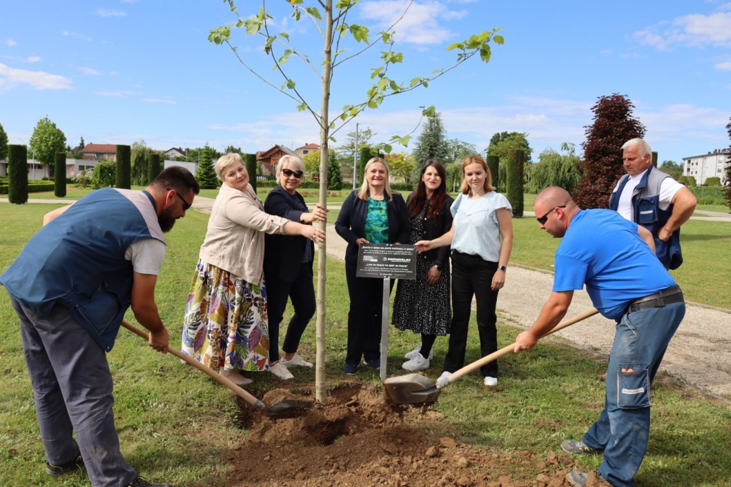 Platana mira posađena na Gradskom groblju Koprivnica kao dio Tjedna upoznavanja groblja Europe
