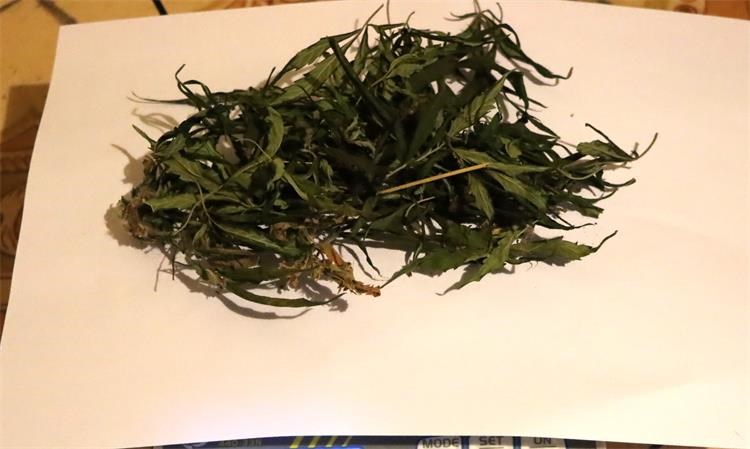 Marihuana