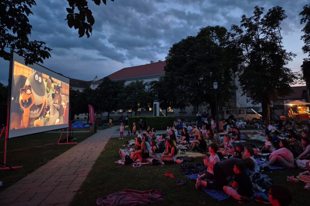 Robin ljetno kino na Nemčiću