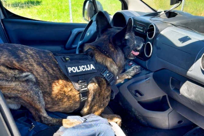 Policijski pas Ares