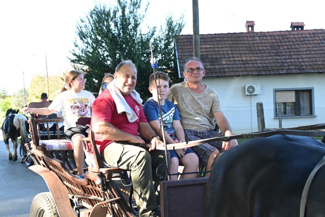 Vožnja kočijom