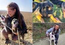 FOTO Koprivničke njuške: gotovo 300 pasa pronašlo je dom zahvaljujući volonterskoj inicijativi