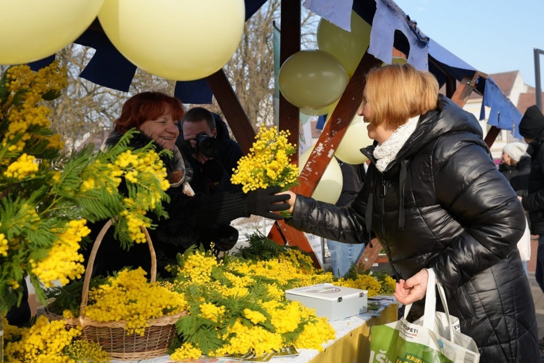 Dan mimoza u Koprivnici