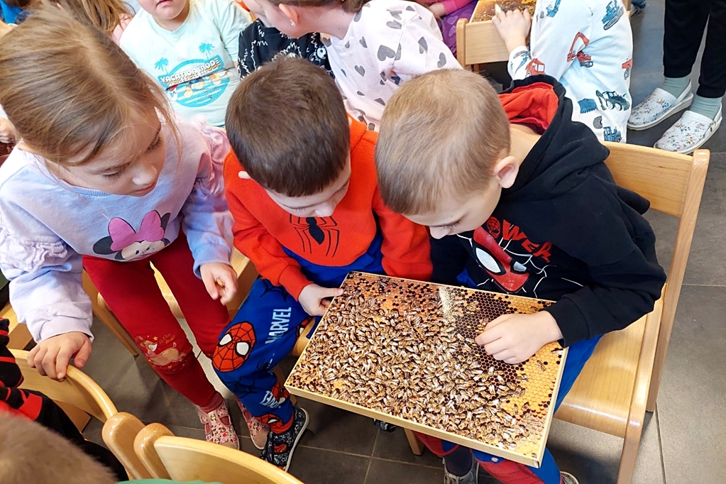 Novomarofski vrtićarci