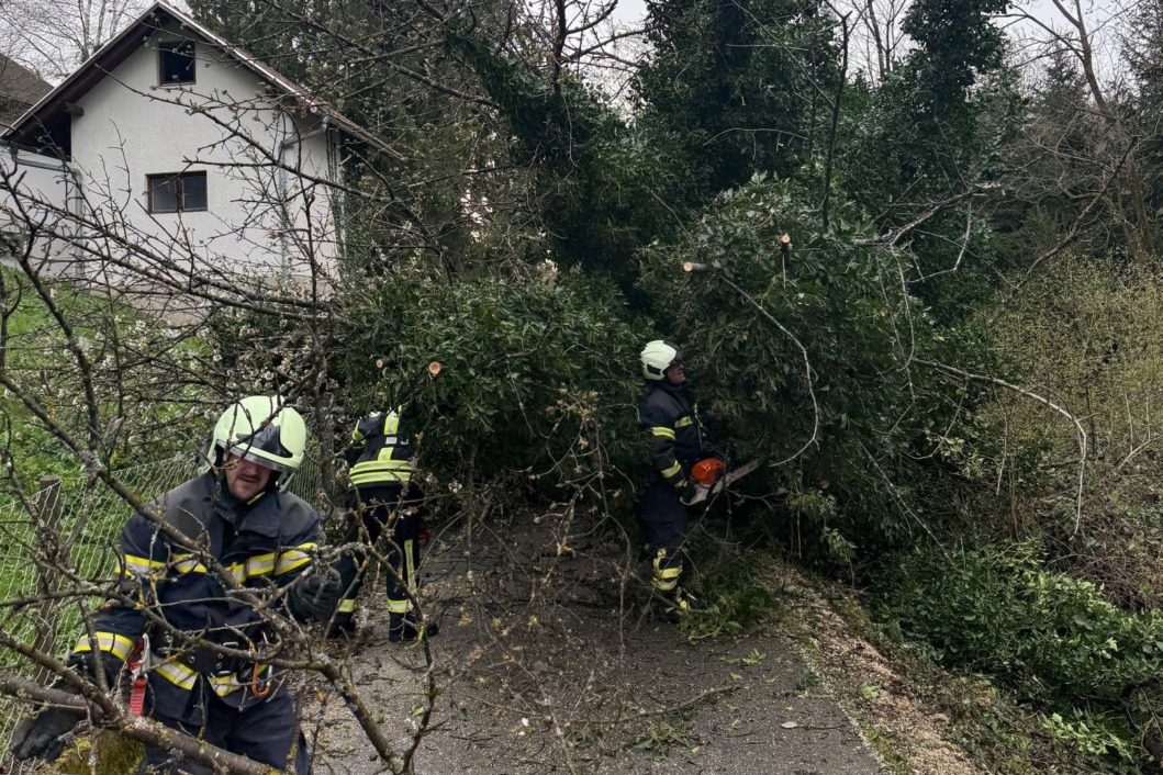 Intervencija vatrogasaca