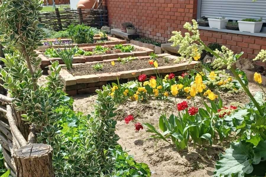 Vrt Dječjeg vrtića Maslačak