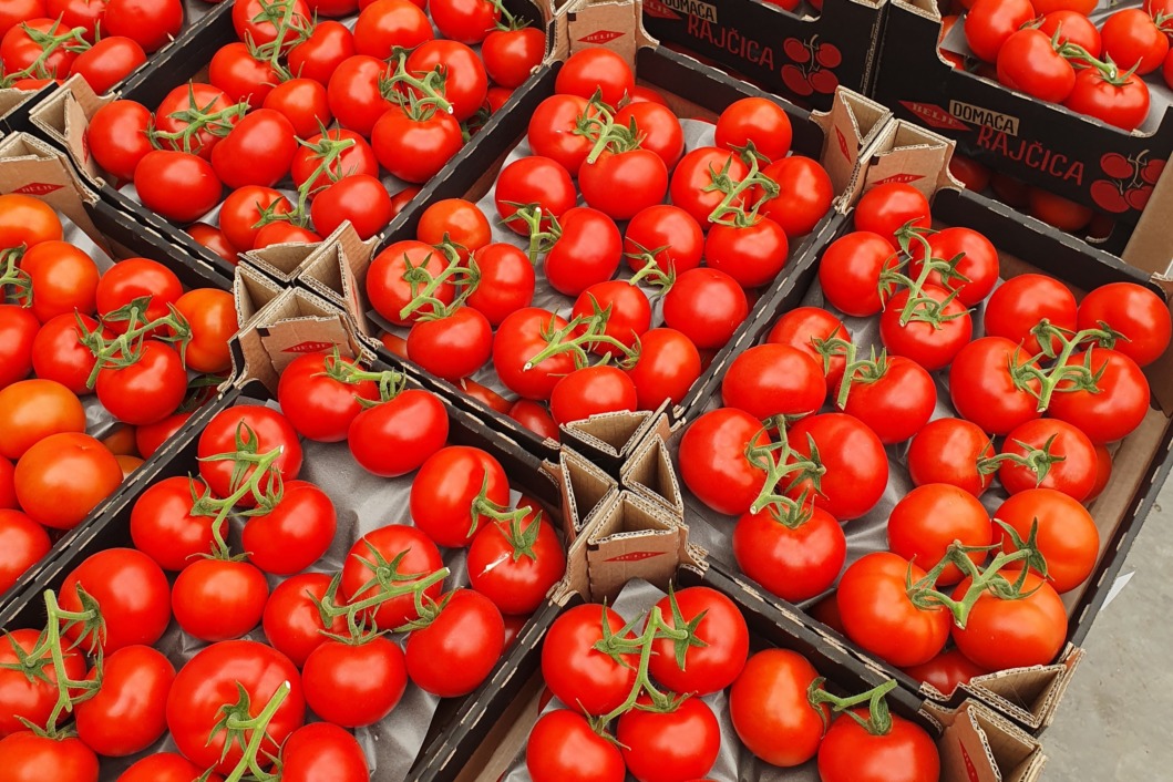 Domaća rajčica