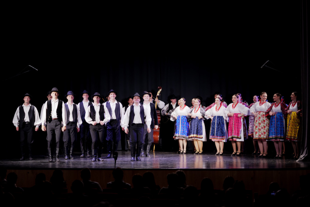 Varaždinski folklorni ansambl