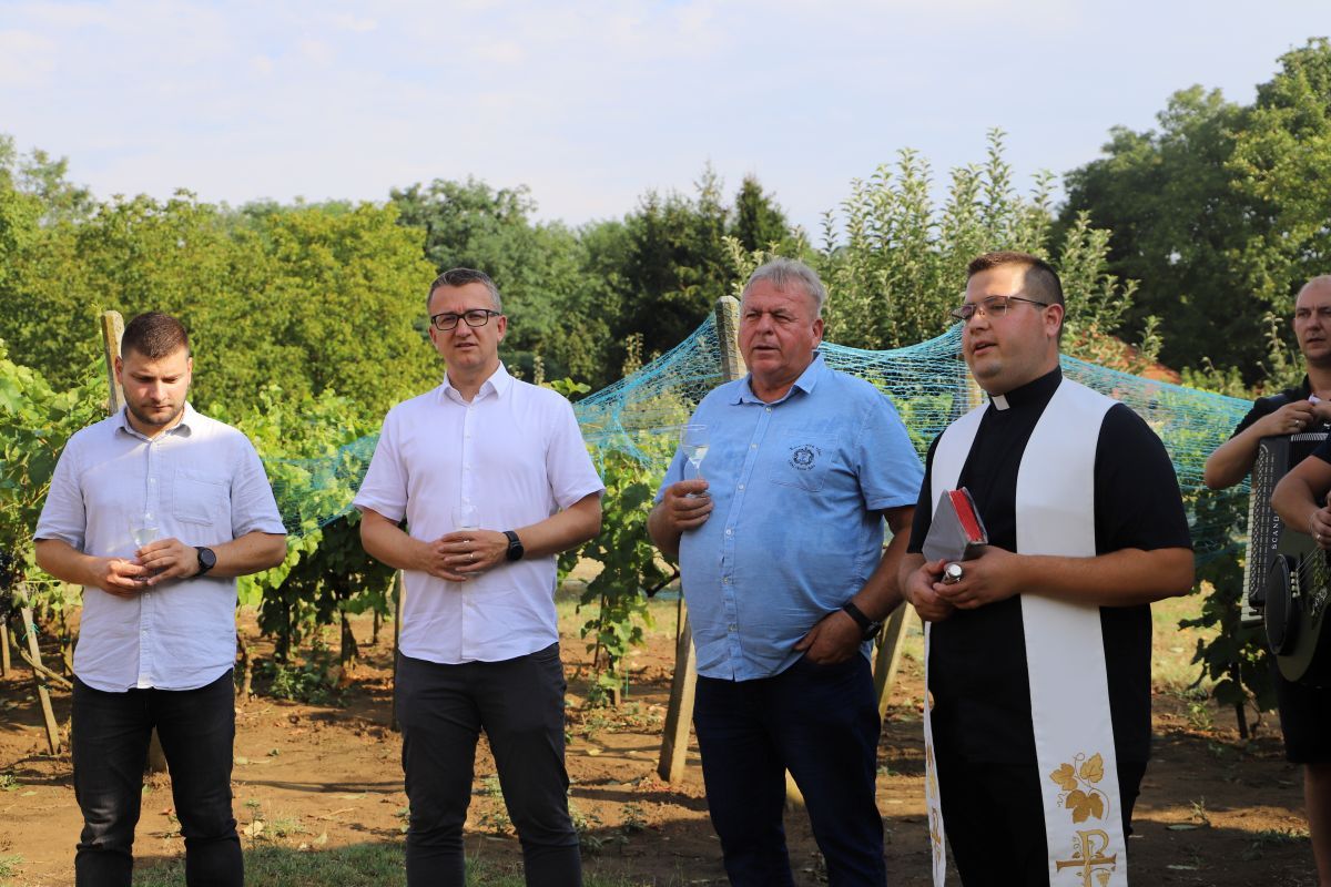 Bartolovo u vinariji Jušta