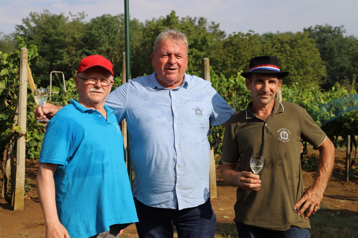 Bartolovo u vinariji Jušta