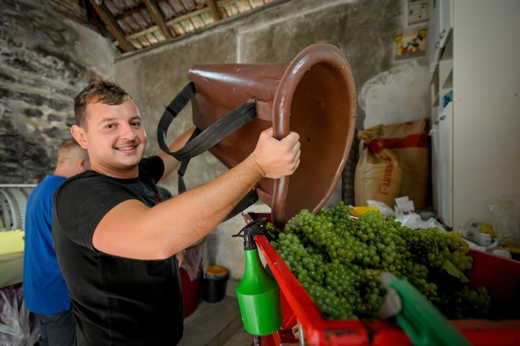 Županijska berba grožđa u Leštakovcu